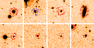 \begin{figure}
\par\includegraphics[width=3.9cm,clip]{1252fig13.ps}\hspace*{1.5m...
...ps}\hspace*{1.5mm}
\includegraphics[width=3.9cm,clip]{1252fig20.ps}\end{figure}