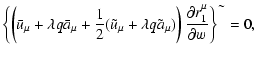 $\displaystyle \left\{ \left( \bar{u}_{\mu }+\lambda q\bar{a}_{\mu }+\frac{1}{2}...
...}_{\mu })\right) \frac{\partial r_{1}^{\mu }}{
\partial w}\right\} ^{\sim } =0,$
