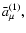 $\bar{a}_{\mu }^{(1)},$