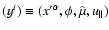$(y^{i})\equiv (x^{\prime \alpha },\phi ,\hat{\mu},{u_{\parallel }})$