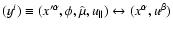 $(y^{i})\equiv
(x^{\prime \alpha },\phi ,\hat{\mu},{u_{\parallel }})\leftrightarrow
(x^{\alpha },u^{\beta })$