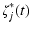 $\displaystyle \zeta_j^*(t)$
