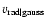 $v_{\rm rad\vert gauss}$