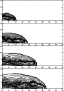 \begin{figure}
\par\includegraphics[width=8cm,clip]{0731f10a.eps}\par\includegra...
...lip]{0731f10c.eps}\par\includegraphics[width=8cm,clip]{0731f10d.eps}\end{figure}