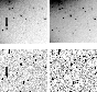 \begin{figure}
\par\includegraphics[width=38mm,clip]{1320fig2c.eps}\hspace*{1mm}...
...a.eps}\hspace*{1mm}
\includegraphics[width=38mm,clip]{1320fig2b.eps}\end{figure}