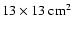 $13 \times 13~{\rm cm}^2$