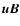 ${\vec{uB}}$