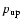 $p_{\rm up}$