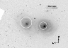 \begin{figure}
\par\includegraphics[width=8.5cm,clip]{Gi131_f1.eps}\end{figure}