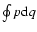 $ \oint p{\rm d}q$