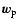 $ \vec{w}_{\rm p} $