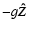 \(-g {\vec{\hat Z}} \)