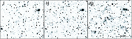 \begin{figure}
\par\includegraphics[width=16.5cm,clip]{0447fig1.eps}
\end{figure}