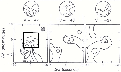 \begin{figure}
\par\includegraphics[width=10.5cm,clip]{1220fig3.eps}\end{figure}