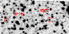 \begin{figure}
\par\includegraphics[width=4.3cm,clip]{1659f11a.ps}\includegraphics[width=4.3cm,clip]{1659f11b.ps}
\end{figure}
