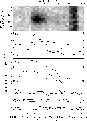 \begin{figure}
\par\includegraphics[width=7.7cm,clip]{Gj011_fig3.eps}
\end{figure}