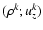 $(\rho^k;u_z^k)$