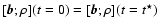 $[\vec{b};\rho](t=0)
= [\vec{b};\rho](t=t^\star)$