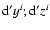 ${\rm d}^\prime y^{i};{\rm d}^\prime z^{i}$