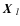 $\mbox{$\vec{X}$ }_l$