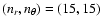 $(n_r,n_\theta)=(15,15)$