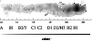 \begin{figure}
\par\includegraphics[width=8.4cm,clip]{0021f18a.eps}\vspace*{1mm}...
...ar {\hspace*{4cm}radius/\hbox{$^{\prime\prime}$ }\hspace*{4cm}}
\par\end{figure}