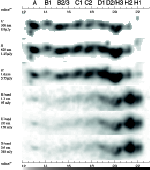 \begin{figure}
\includegraphics[width=13cm,clip]{0021f2.eps}\end{figure}