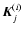 ${\vec K}_j^{(i)}$