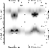 \begin{figure}
\par\includegraphics[width=8.7cm,clip]{1324fg18.eps}
\end{figure}