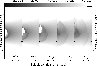 \begin{figure}
\par\includegraphics[width=8.5cm,clip]{1324fig2.eps}
\end{figure}