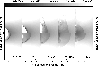 \begin{figure}
\par\includegraphics[width=8.6cm,clip]{1324fig3.eps}
\end{figure}