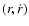 $(r, \dot r)$
