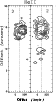 \begin{figure}
\hspace*{1.7cm} \psfig{file=0827fg11.eps,bbllx=1pt,bblly=1pt,bburx=260pt,bbury=480pt,height=9cm,clip=}
\end{figure}
