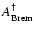 $A^{\dag }_{\rm Brem}$