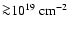 ${\ga} 10^{19} \;
{\rm cm}^{-2}$