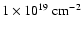 $1 \times 10^{19} \; {\rm cm^{-2}}$
