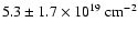 $5.3 \pm 1.7 \times 10^{19} \; {\rm cm}^{-2}$