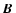 $\mbox{\boldmath$B$ }$