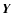 $\mbox{\boldmath$Y$ }$