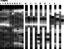 \begin{figure}
\par\includegraphics[width=8cm,clip]{2113fig1.eps} \end{figure}