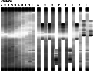\begin{figure}
\par\includegraphics[width=8cm,clip]{2113fig2.eps} \end{figure}