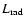 $L_{\rm rad}$