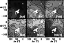 \begin{figure}
\par\includegraphics[width=8.1cm,clip]{2093fig7.eps}
\end{figure}