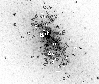 \begin{figure}
\par\resizebox{8.8cm}{!}{\includegraphics{1028fig3.eps}} \end{figure}