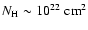 $N_{\rm H} \sim 10^{22} \;\rm cm^{2}$