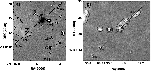 \begin{figure}
\par\includegraphics[width=13.2cm,clip]{1959f8.ps}
\end{figure}