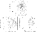 \begin{figure}
\par {\hspace*{3cm}\includegraphics[angle=-90,width=5.72cm,clip]{...
...ace*{2mm}
\includegraphics[angle=-90,width=5.72cm,clip]{1959f5c.ps}
\end{figure}