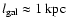$l_{\rm
gal}\approx 1~{\rm kpc}$