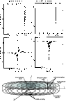 \begin{figure}
\par\includegraphics[width=8.4cm,clip]{0194fig7.eps}\end{figure}