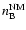 $n_{\rm B}^{\rm NM}$